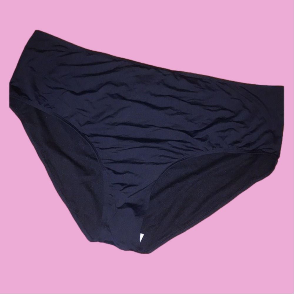 NWT Swim bottoms 24W